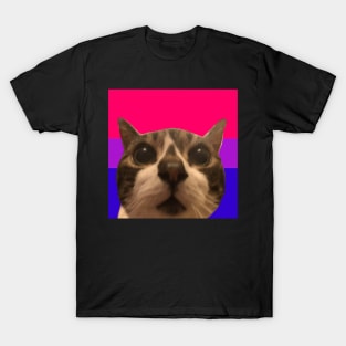 arch says bi rights T-Shirt